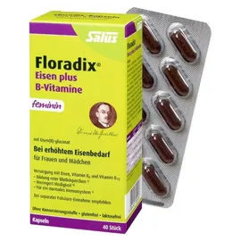 SALUS Floradix Eisen plus B-Vitamine Kapseln