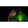 Five Nights at Freddy's: Security Breach Collector's Edition