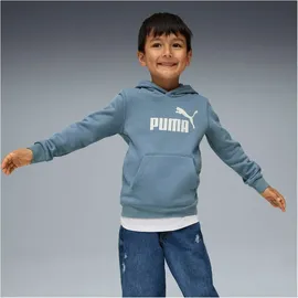 Puma Hoodie Coolblue 116