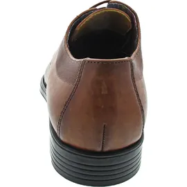 LLOYD DAVENPORT 24-537-02 (11.5/COCOS) / 11.5 UK