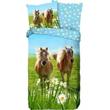 Generisch Bettbezug Set 135x200cm Pferd Bettwäsche Set Prärie-Gänseblümchen-braunes Pferd Kinder 3 Teilig Mikrofaser Wendebettwäsche Bettdeckenbezug Mit Reißverschluss und 2 Kissenbezug 80x80cm