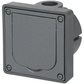 Busch-Jaeger Schuko-Steckdose 20 EFDB2 Grau 1 St.