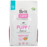 Brit Care Dog Grain-free Puppy Salmon 3kg