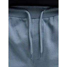 JACK & JONES Jpstgordon ARCHIVE SWEAT SHORTS MID Sn