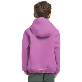 Jack Wolfskin Flaze Jacke Foxglove 140