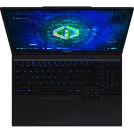 Captiva Highend Gaming I94-489GE 16'' Intel Core i9-14900HX 32 GB RAM 1 TB SSD RTX 5070 Ti Win11 Pro
