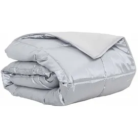 vidaXL Sommerdecke Silber 240 x 260 cm Satin und Mikrofaser vidaXL