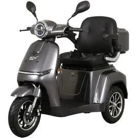 aktiv mobil Elektromobil E-Rider 1000 mit Topcase grau