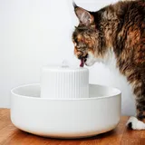 LucyBalu® Trevi Trinkbrunnen für Katzen aus Keramik | Katzenbrunnen für Katzen | Katzentrinkbrunnen | Wasserbrunnen | Katzenbrunnen aus Keramik | Wassernapf | Trinknapf | Weiß