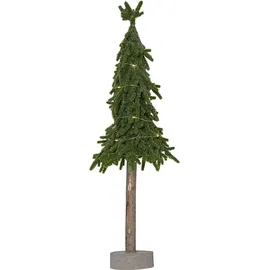 Star Trading Baum Lummer - Star Trading