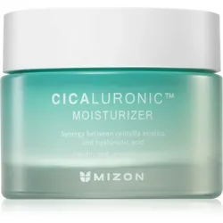 Mizon CicaluronicTM nährende Feuchtigkeit spendende Creme für sehr trockene und empfindliche Haut 50 ml