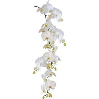 Kleine Wolke Wandfolie Statics Orchid weiß
