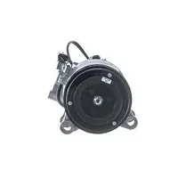 Mahle Kompressor, Klimaanlage BEHR ACP 599 000S