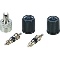 Prophete Autoventil-Einsätze, 2 Stück, Ventilkappen schwarz