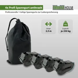 Trutzholm Spanngurt 4x Profi 2,5 m 250 kg Traglast