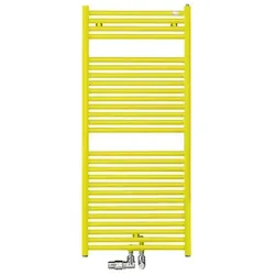Zehnder Design-Heizkörper „Troja“ 100 × 176 cm in Inox Look (glänzend)