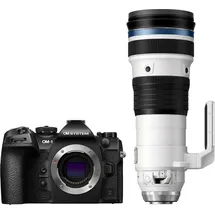 OM System OM-1 II + M.Zuiko 150-400mm f/4,5 TC1,25x IS Pro
