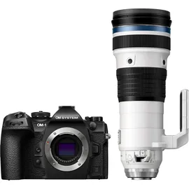OM System OM-1 II + M.Zuiko 150-400mm f/4,5 TC1,25x IS Pro