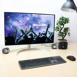 Eminent 2.1 Stereo speaker set for PC and laptop, USB powered, PC Lautsprecher, Schwarz, 1 m, 3 W - Schwarz