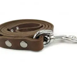 Leder Hundeleine Braun 160 cm x 16 mm