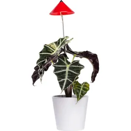 Parus by Venso SUNLiTE 7W LED Pflanzenlampe Rot