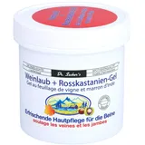 Axisis Weinlaub+rosskastanien-gel