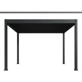Weide E-Deluxe 3,6 x 4 m Anthrazit
