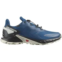 Salomon Supercross 4 GTX Poseidon/Black/Lunar Rock 44