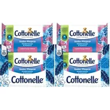 Cottonelle Feuchtes Toilettenpapier, Sauber Pflegend - Mizellenwasser & Baumwollduft, Biologisch Abbaubar, Plastikfrei, Wiederverschließbar, Vorteilspack, 12 x 42 Feuchttücher (Packung mit 2)