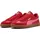 Candy Apple / Magic Rose 42