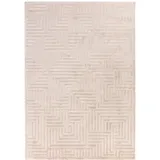 KADIMA DESIGN ILLER Kurzflorteppich 120 x 170 cm Beige