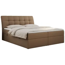 MKS Meble Boxspringbett 140x200 mit Matratze, Bett mit Multipocket - Matratze H4 und Topper, Polsterbett 140x200 mit Bettkasten und Kopfteil, DIEGOS - 140x20... - Braun