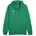 teamGOAL Kapuzenjacke Herren Sport Green/Puma White M