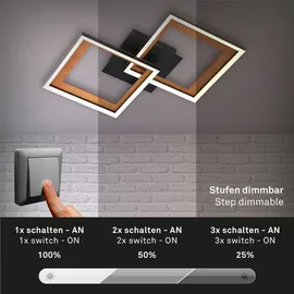 Briloner LED Deckenleuchte Frames 44 cm schwarz drehbar