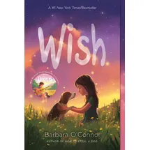 Macmillan USA Wish