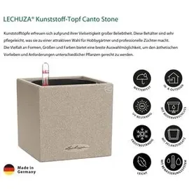 LECHUZA Canto Stone 14 Komplettset 14 x 14 x 13,5 cm sandbeige