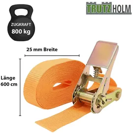 Baumarktplus Spanngurte 10x Profi Ratschen 6 m 0,8 t