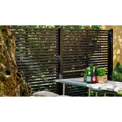 Sichtschutzzaun breite Einzeltür Rankgitter Tokyo – Tor aus Kiefer/Fichte, schwarz – Gartentor in waagerechter Optik – ideal für Sichtschutz im Garten