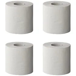 Schnell lösliches Toilettenpapier - 4 Rollen