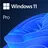 Microsoft Windows 11 Pro ESD + PKC ML