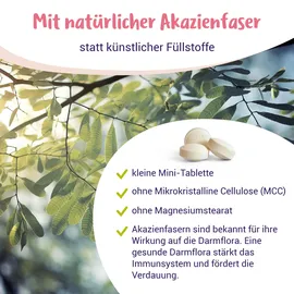 pregnivital Folsäure Tabletten 120 St.