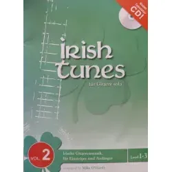 Irish Tunes 2