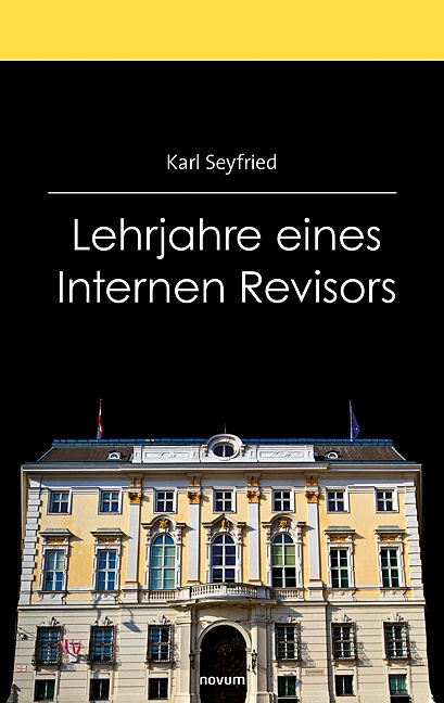 Lehrjahre Eines Internen Revisors - Karl Seyfried  Kartoniert (TB)
