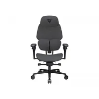 ThunderX3 FLEX Pro Gaming-Stuhl Grau