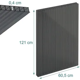 Relaxdays Doppelstegplatten Set, 6mm, für Gewächshaus, HB: 121x60,5 cm, Polycarbonat, anthrazit