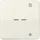 Jung Taster FM CD 1701