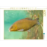 Calvendo Puzzle Schleie im Fluss Ain, Bourgogne-Franche-Comté 1000 Teile