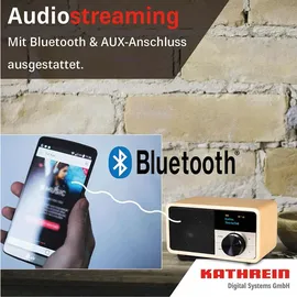 Kathrein DAB+ 1 mini silber