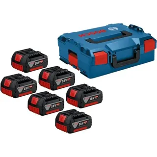 Professional Starterset 18 V Li-Ion 6 x 4,0 Ah 1600A02A2S