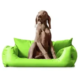 Tierlando NEMO Hundebett Hundesofa S M L Hundekorb Katzenbett 65 80 100cm kiwi 80 cm, 22 cm, 60 cm